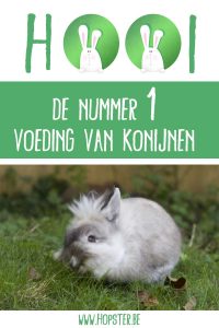 Hooi nummer 1 voeding konijnen | Hopster vzw