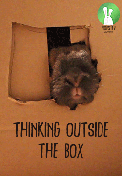 Thinking Outside The Box | Konijnenadviesbureau Hopster