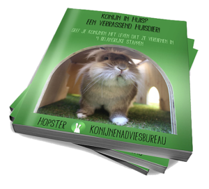 Gratis ebook "Konijn in huis? Een verrassend huisdier!" | Konijnenadviesbureau Hopster