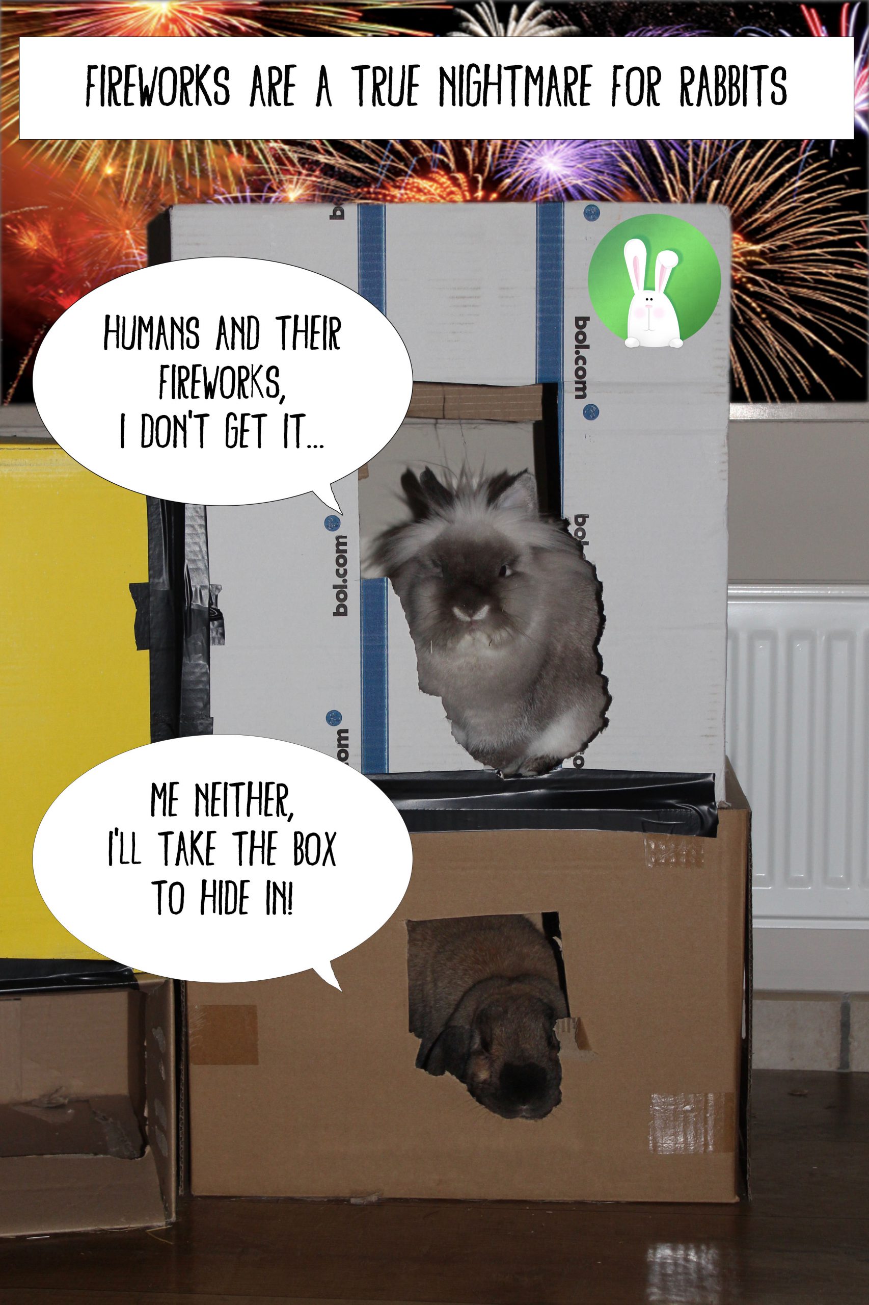 Rabbits and fireworks | Konijnenadviesbureau Hopster