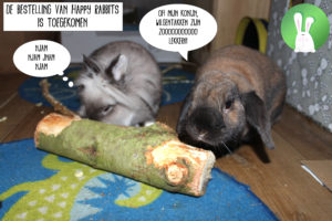 Eddie en Louis genieten van de wilgentakken van Happy Rabbits | Konijnenadviesbureau Hopster