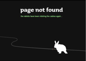 Page Not Found | Konijnenadviesbureau Hopster