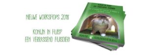 Nieuwe workshops 2018 | Konijnenadviesbureau Hopster
