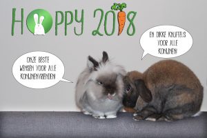 Hoppy 2018 | Konijnenadviesbureau Hopster