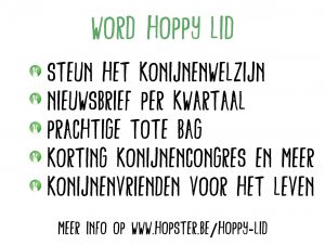 Hoppy Lid | Konijnenadviesbureau Hopster