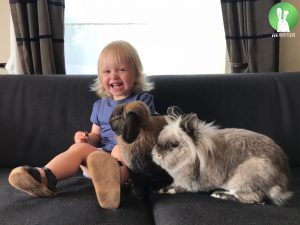Kinderen en konijnen | Konijnenadviesbureau Hopster