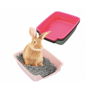 Plasbakperikelen bij minder mobiele konijnen | Konijnenadviesbureau Hopster