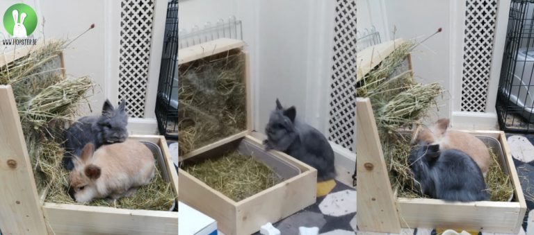 Toiletbak Chews&Nibbles | Konijnenadviesbureau Hopster