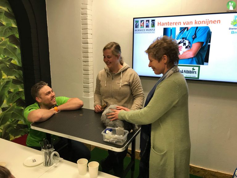 EHBO bij konijnen | Konijnenadviesbureau Hopster