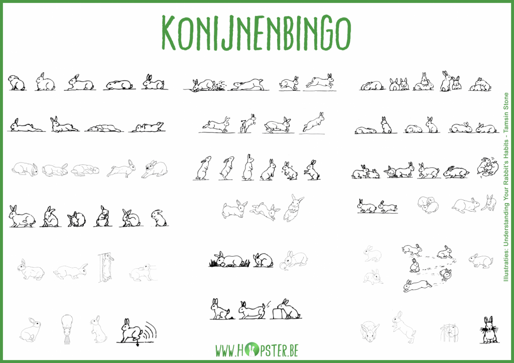 Konijnenbingo