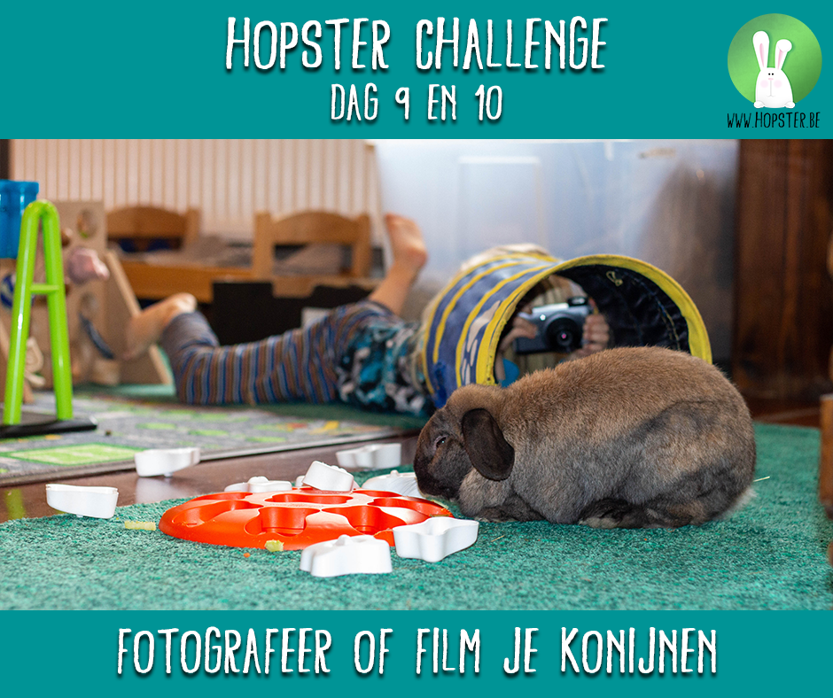 Hopster Challenge