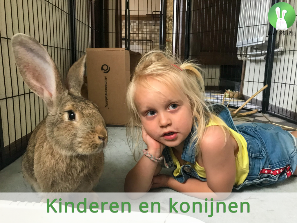 Kinderen en konijnen | Konijnenadviesbureau Hopster