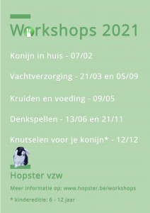 Agenda Workshops 2021 | Konijnenadviesbureau Hopster